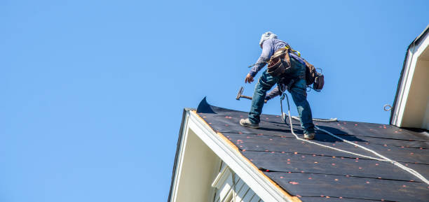 Best Roof Gutter Cleaning  in Crescent City, CA